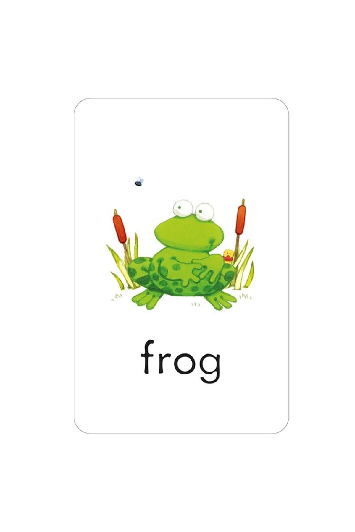 The Usborne First Words: Flashcards