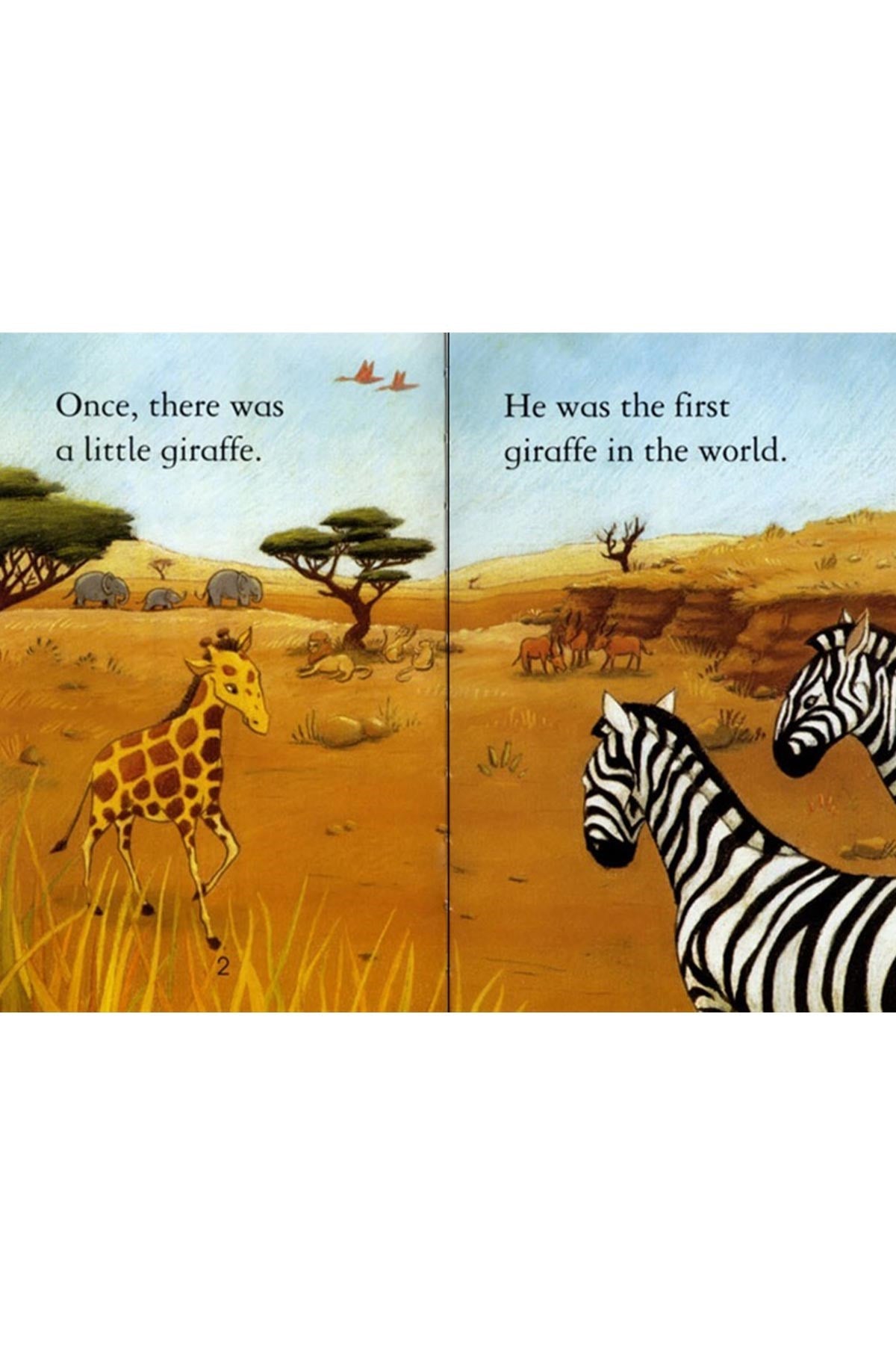 The Usborne FR2: The Little Giraffe