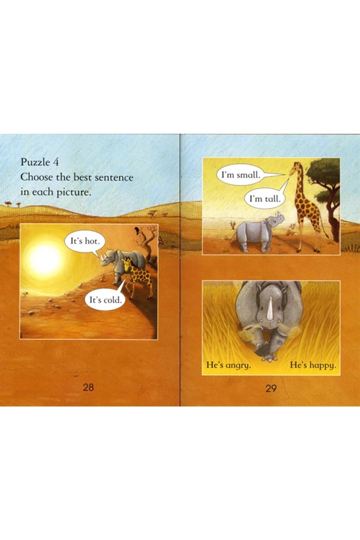 The Usborne The Little Giraffe - Welcome Baby