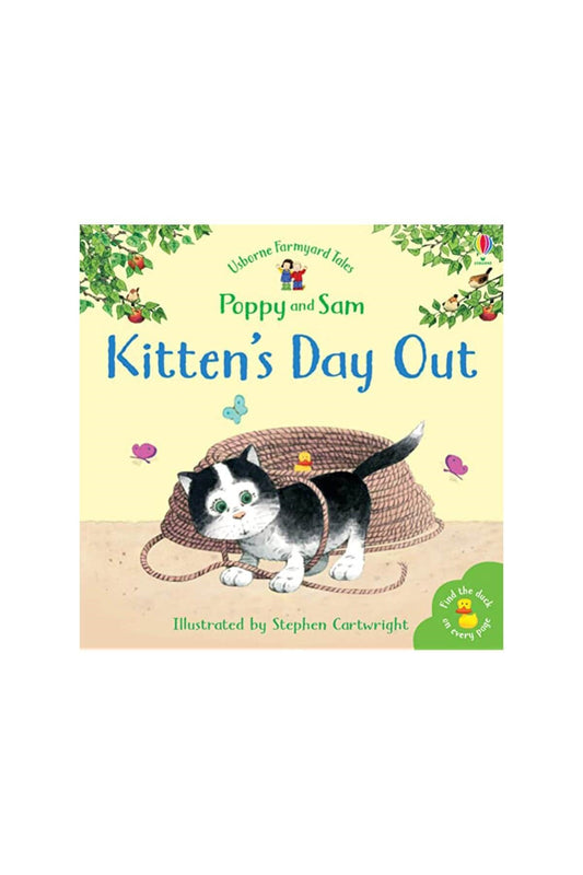 The Usborne Fyt Kittens Day Out - Welcome Baby