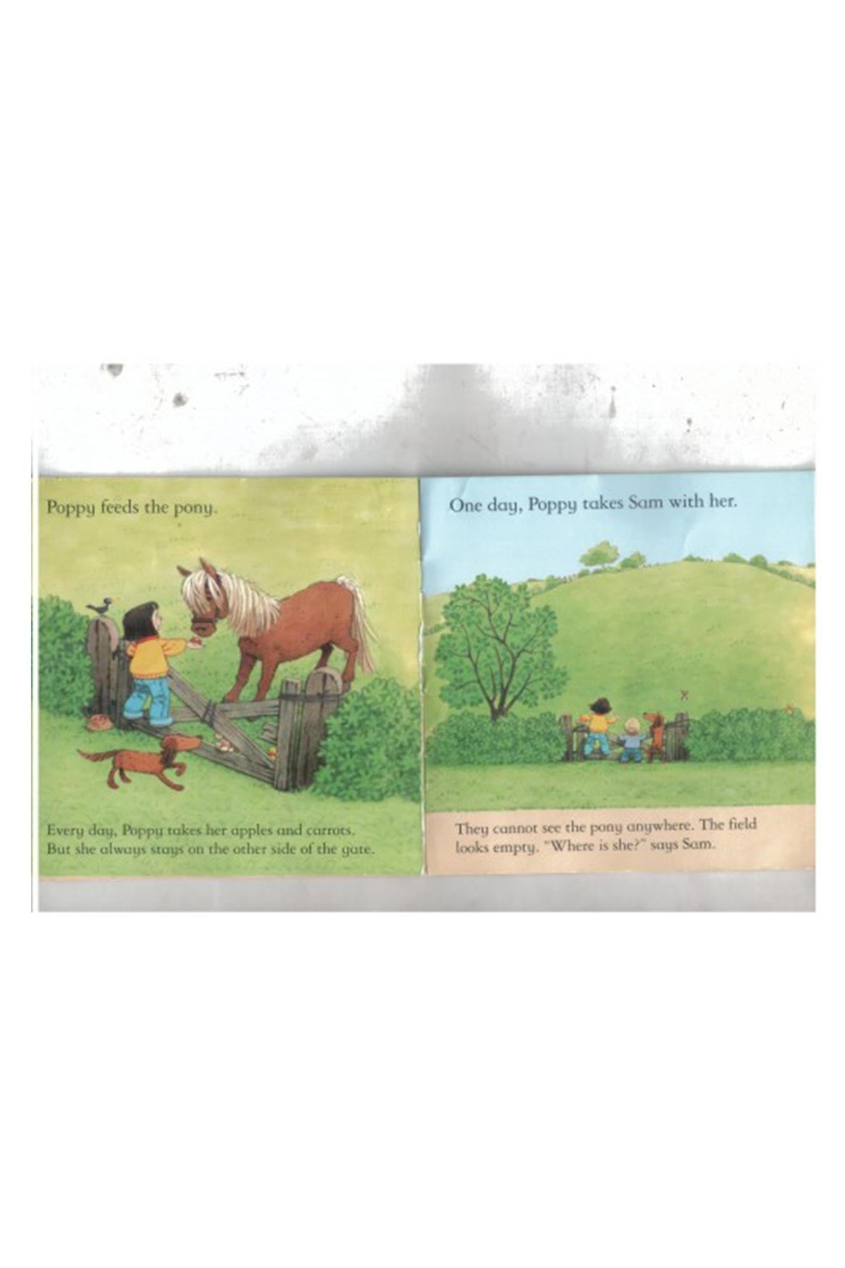 The Usborne Fyt Mini New Pony - Welcome Baby