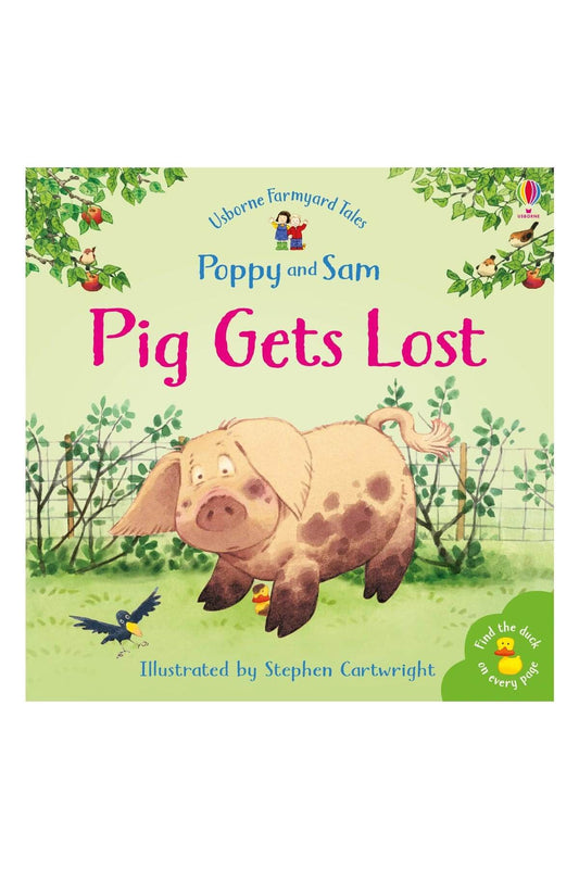 The Usborne Fyt Pig Get Lost - Welcome Baby