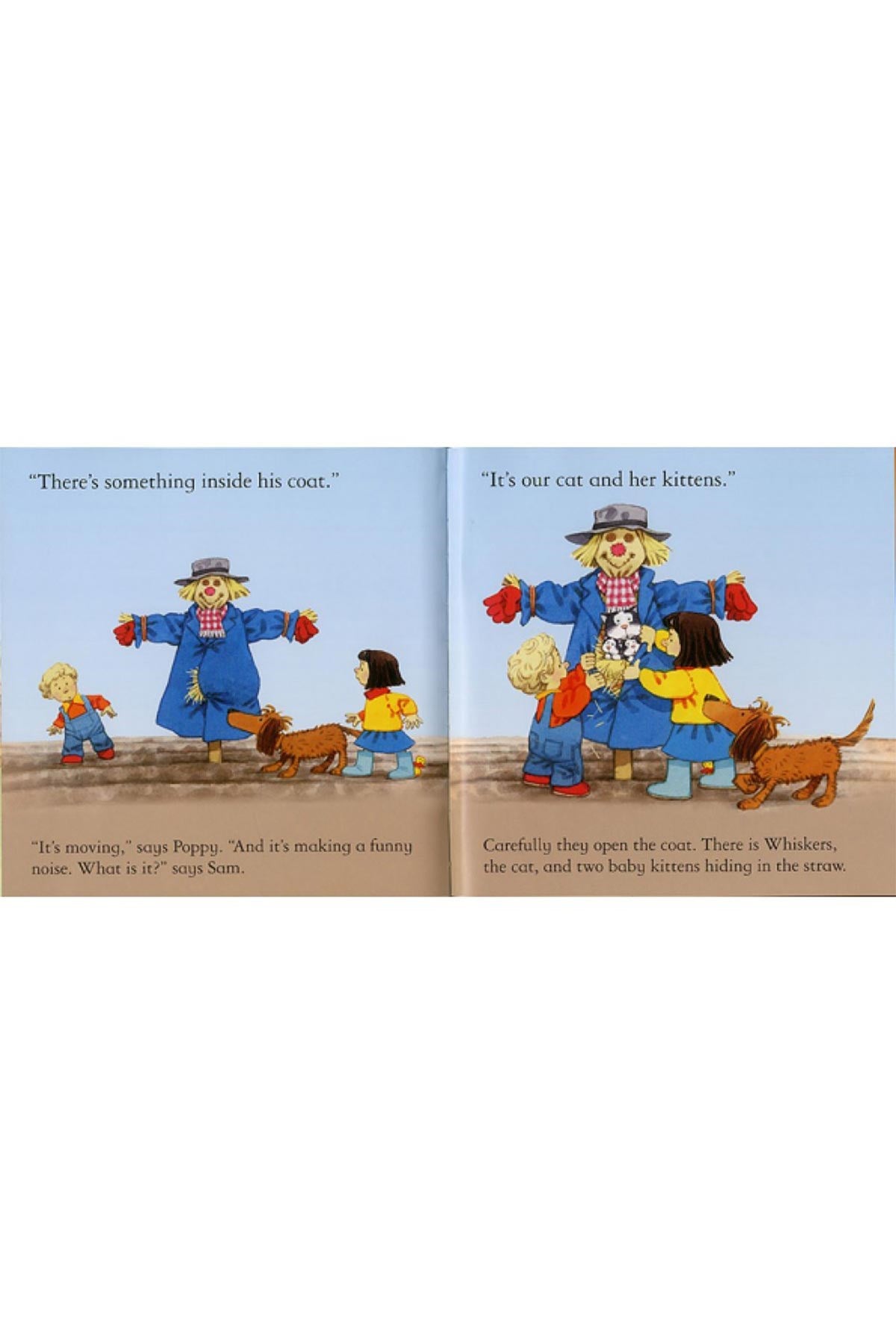 The Usborne Fyt Scarecrows Secret