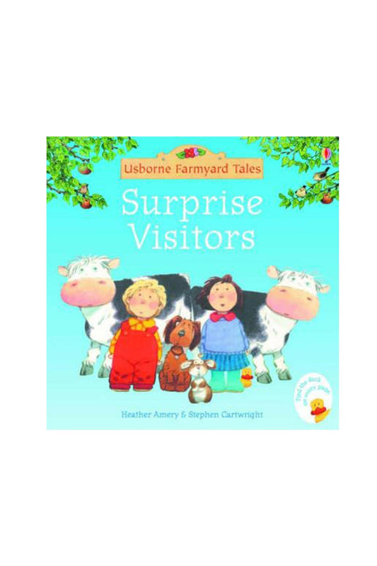The Usborne Fyt Surprise Visitors