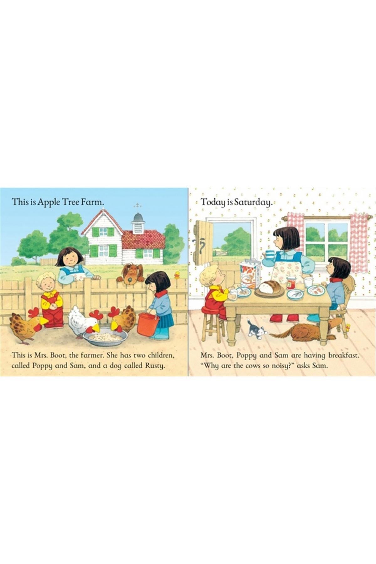The Usborne Fyt Surprise Visitors