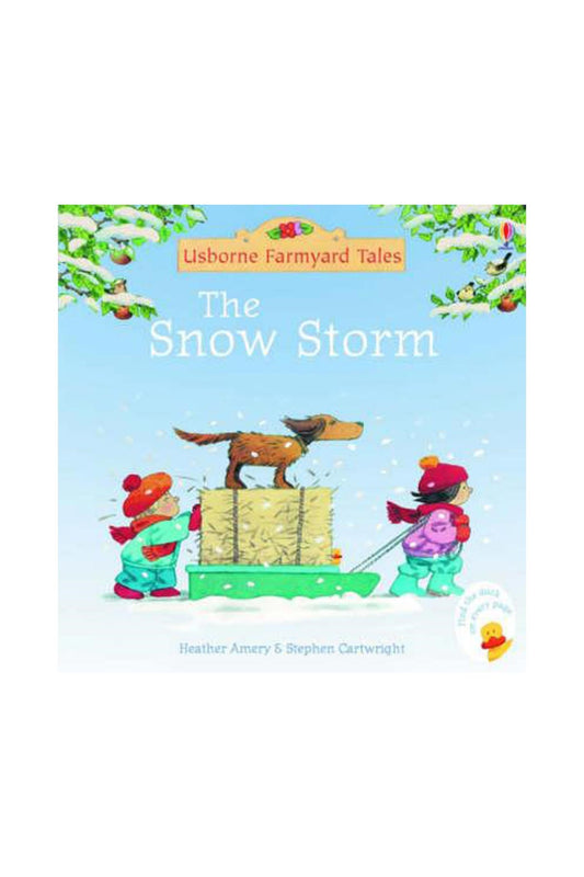 The Usborne Fyt The Snow Storm - Welcome Baby