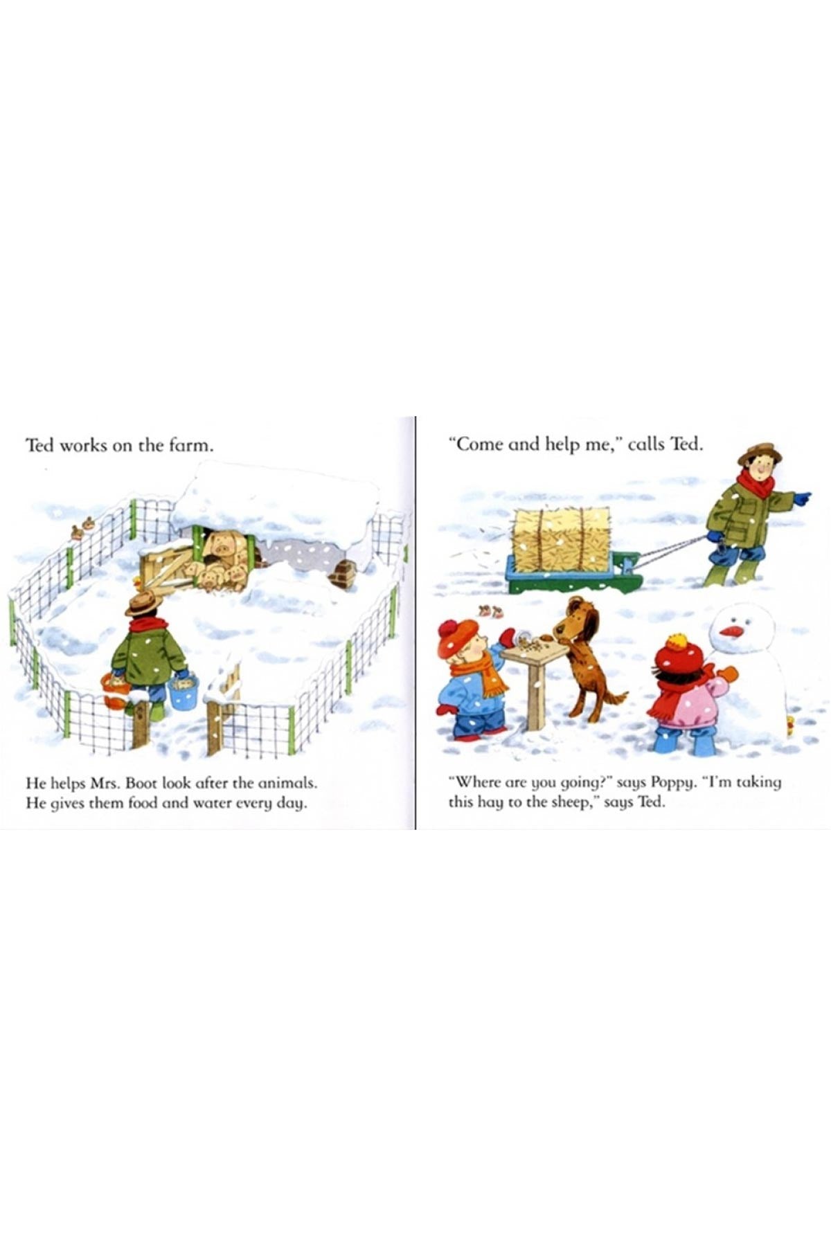 The Usborne FYT The Snow Storm