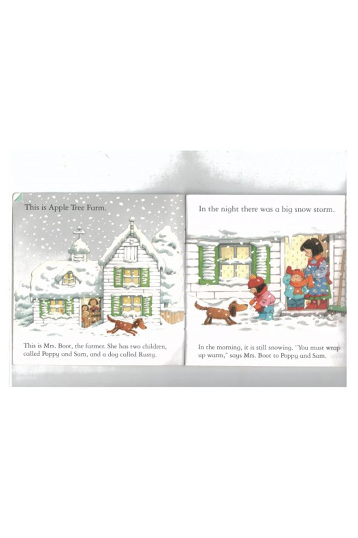 The Usborne FYT The Snow Storm