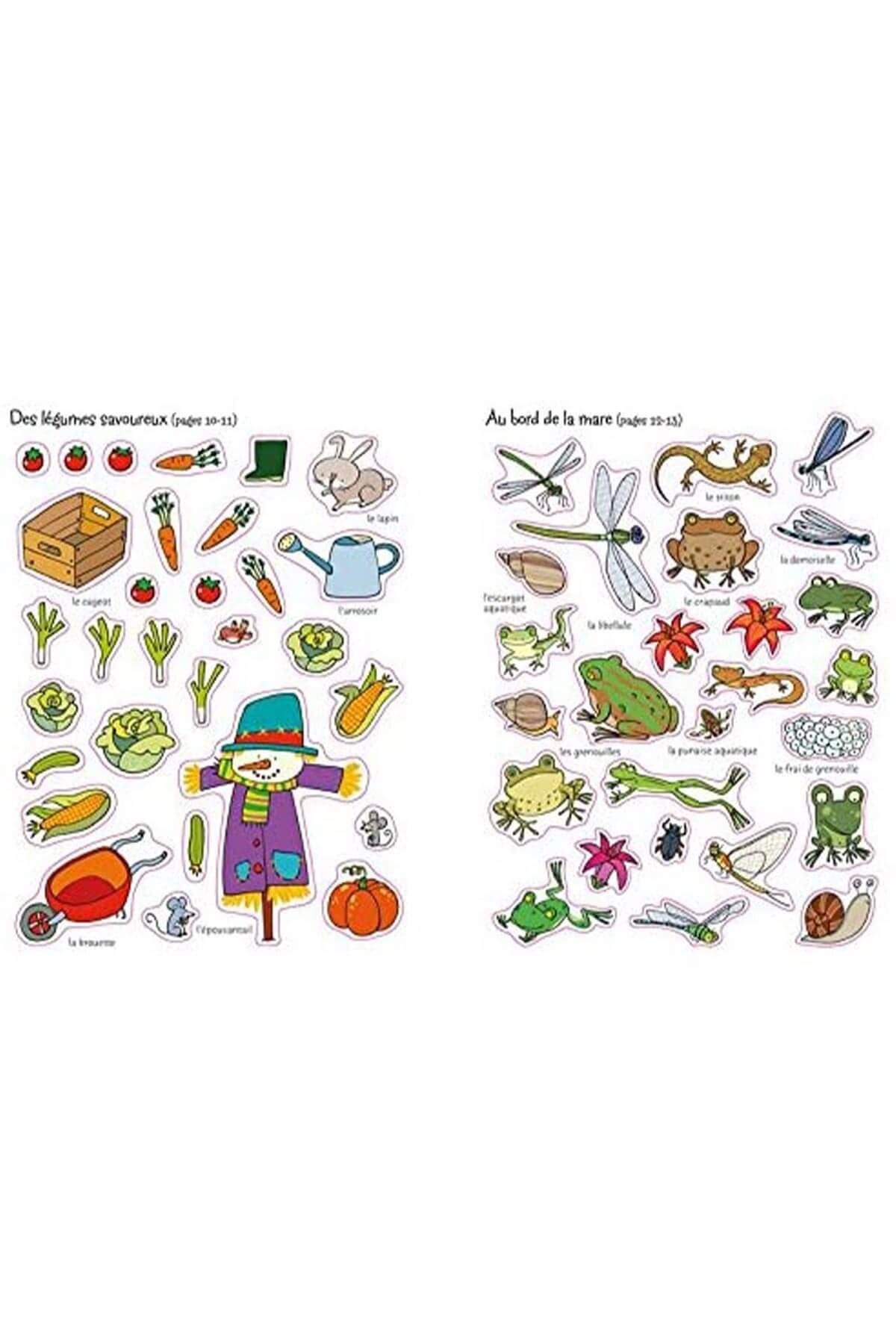 The Usborne Garden Sticker & Colouring Book