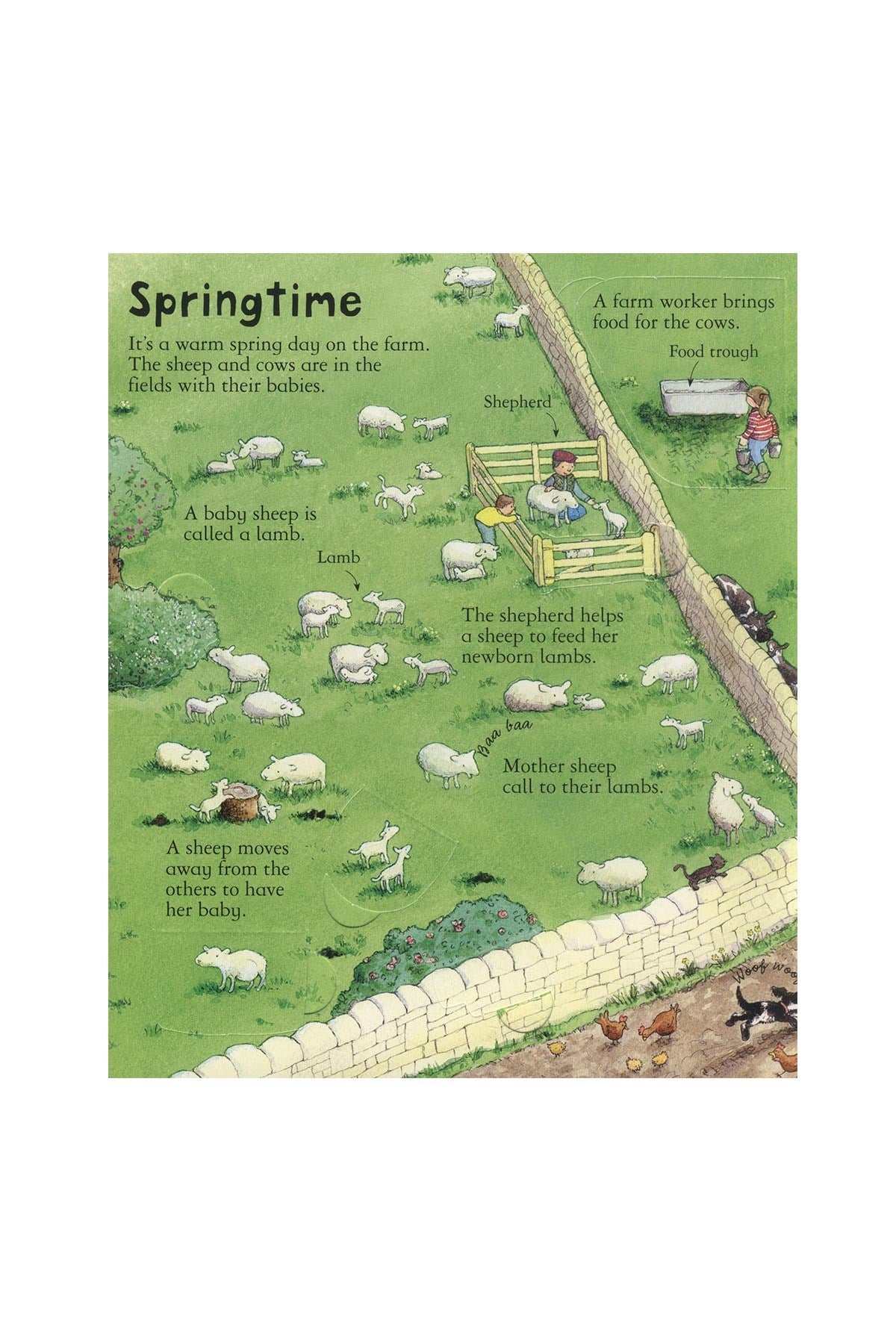 The Usborne Look Inside a Farm