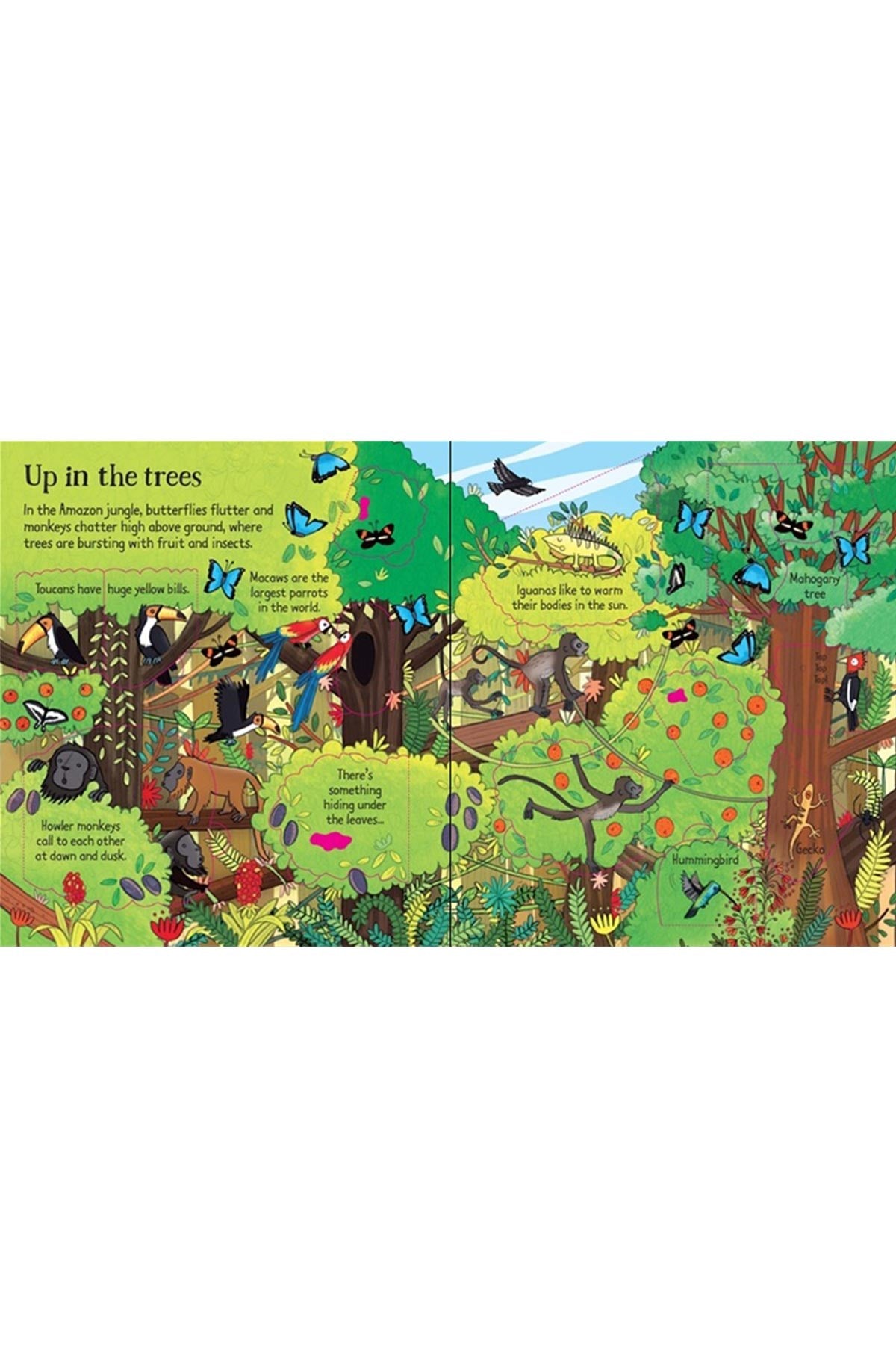 The Usborne Look Inside The Jungle