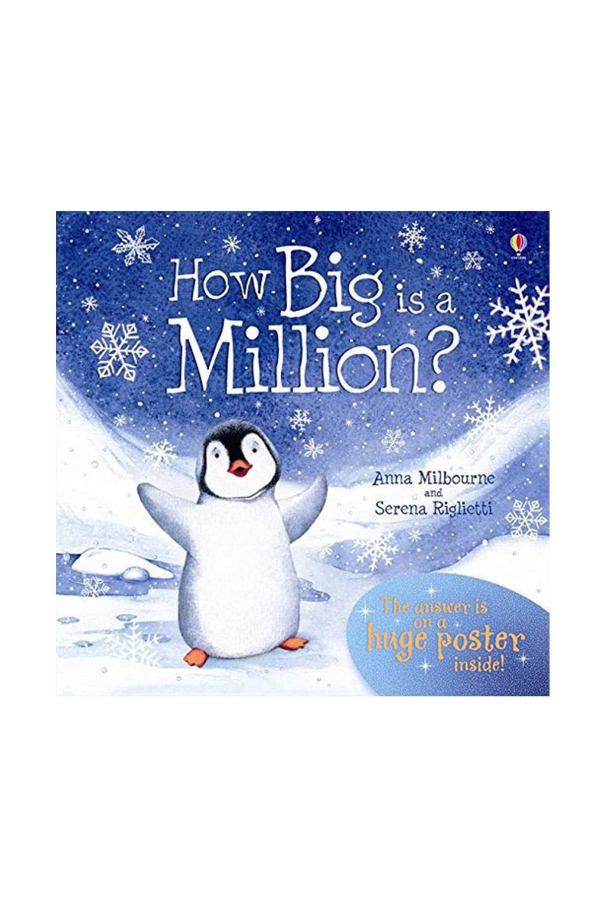 The Usborne Pic How Big Is A Million