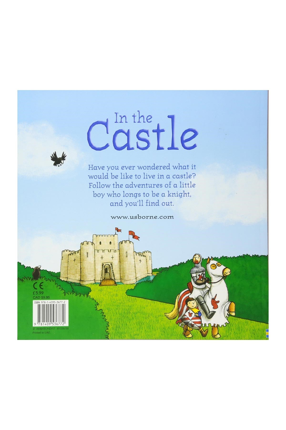 The Usborne Pic In The Castle