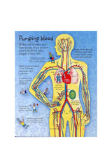 The Usborne See Inside Your Body Hb - Welcome Baby