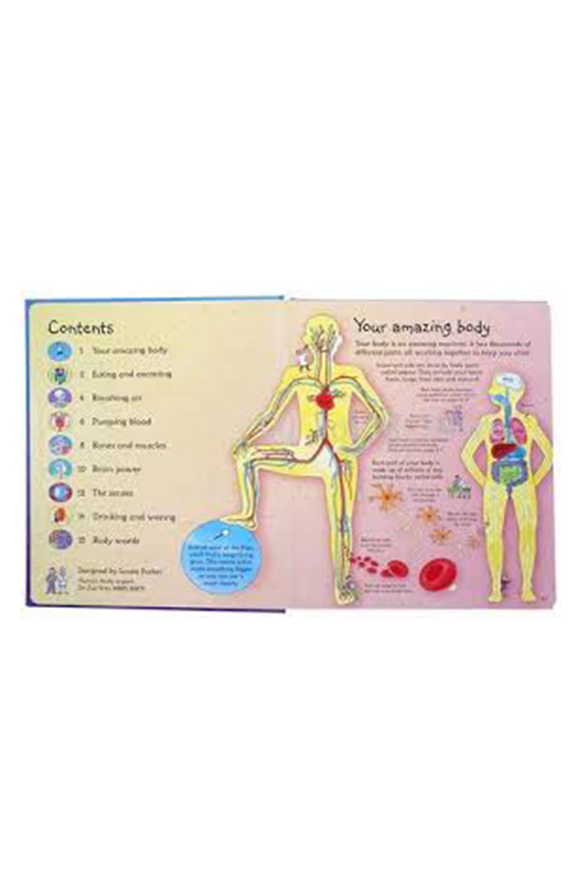 The Usborne See Inside Your Body Hb - Welcome Baby