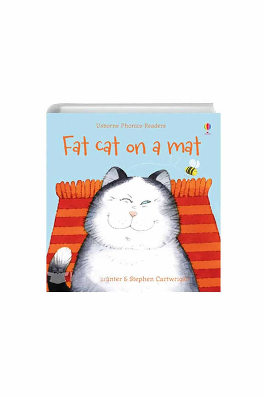 The Usborne  Cat On A Mat