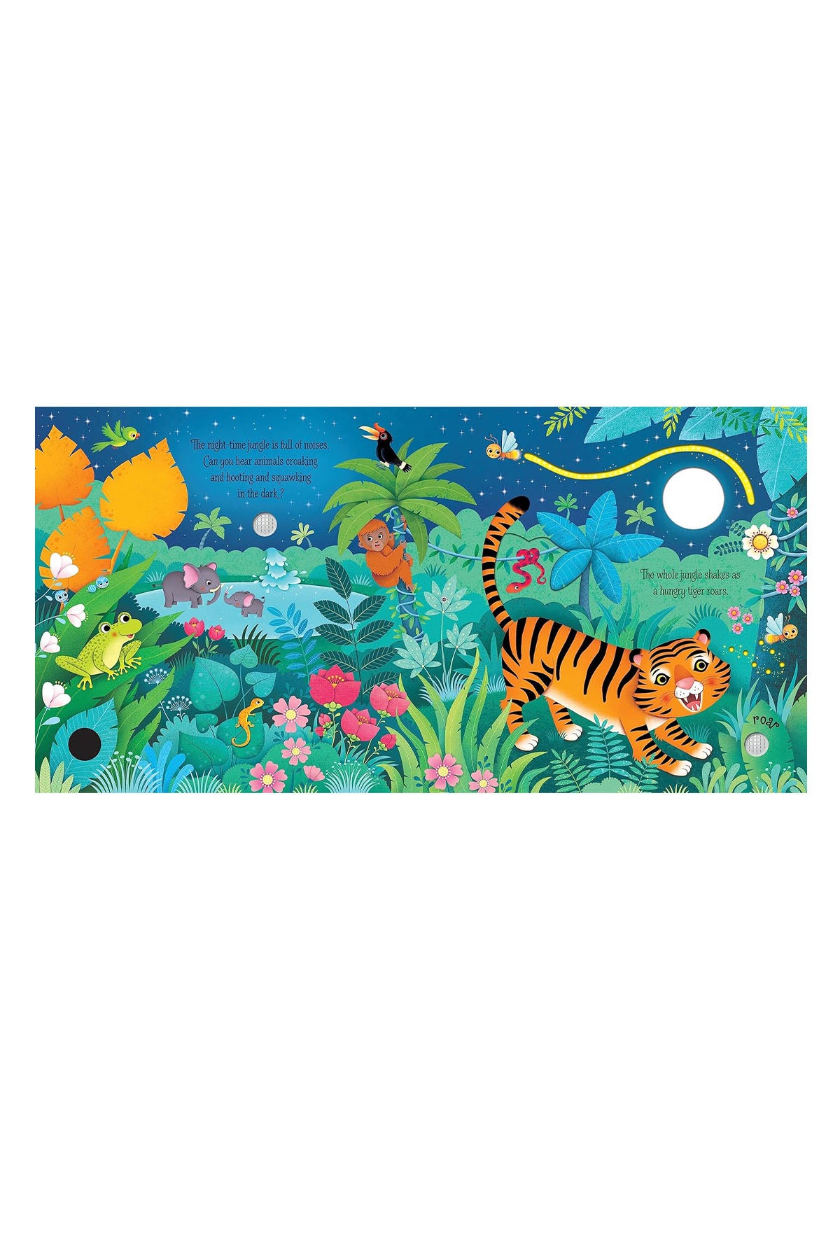 The Usborne USB - Jungle Sounds