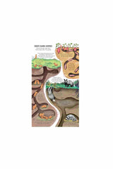 The Usborne  Look Inside Animal Homes