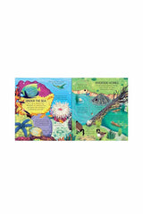 The Usborne  Look Inside Animal Homes