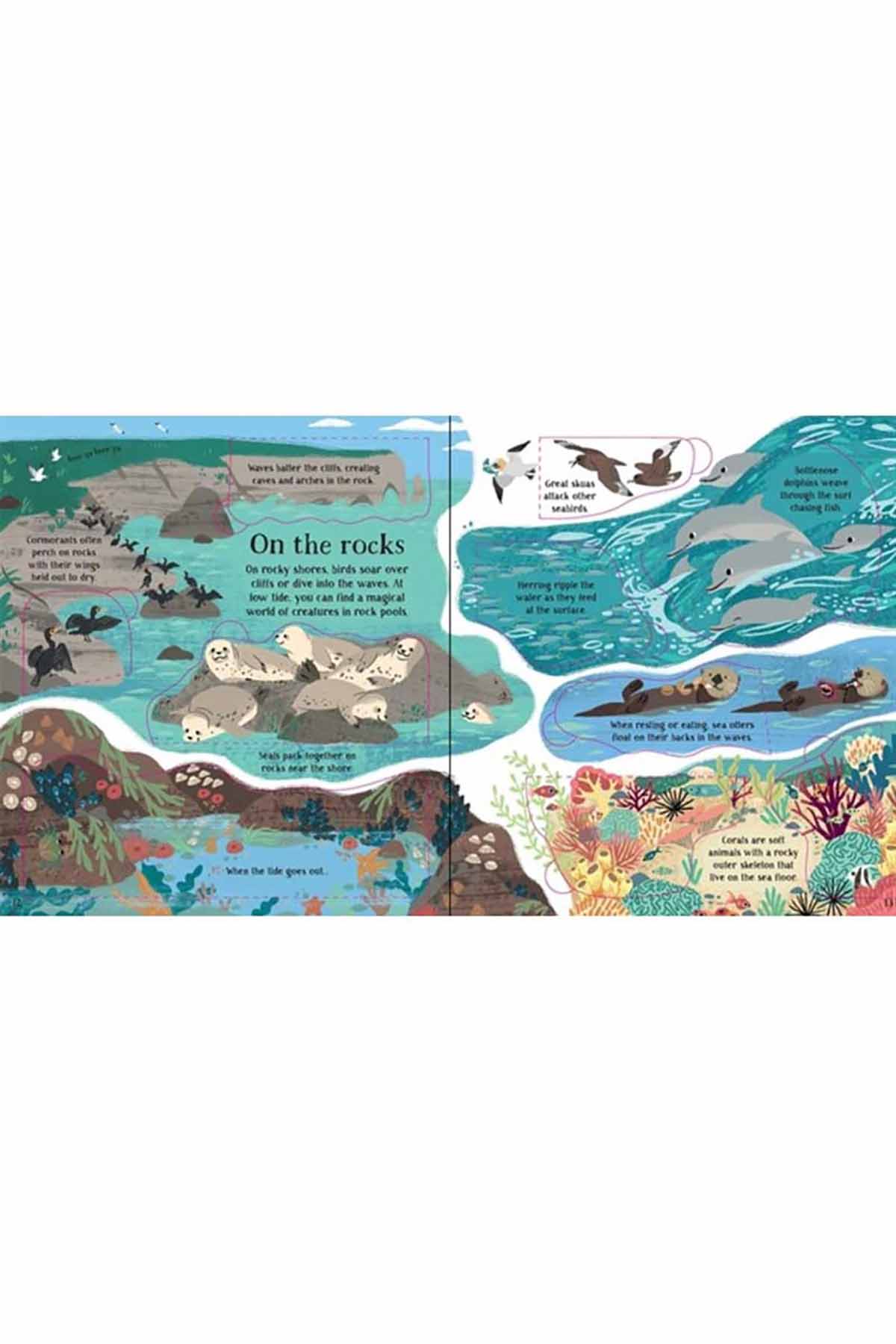 The Usborne  Look Inside Nature