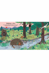 The Usborne  Look Inside Nature