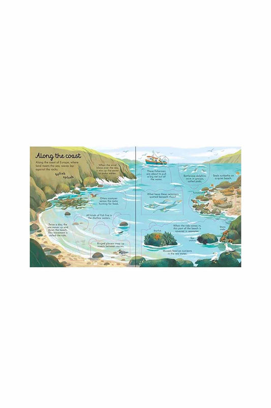The Usborne Look Inside Seas And Oceans