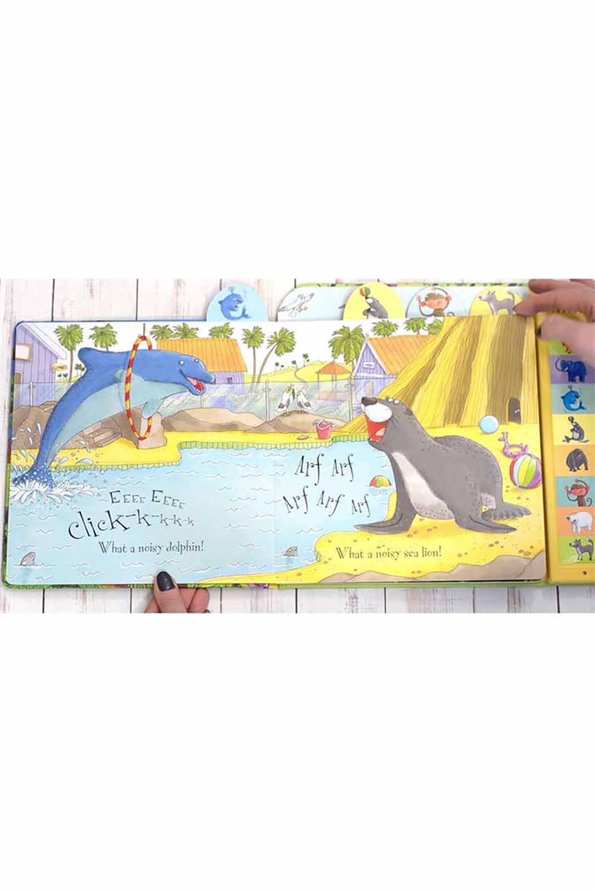 The Usborne  Noisy Zoo