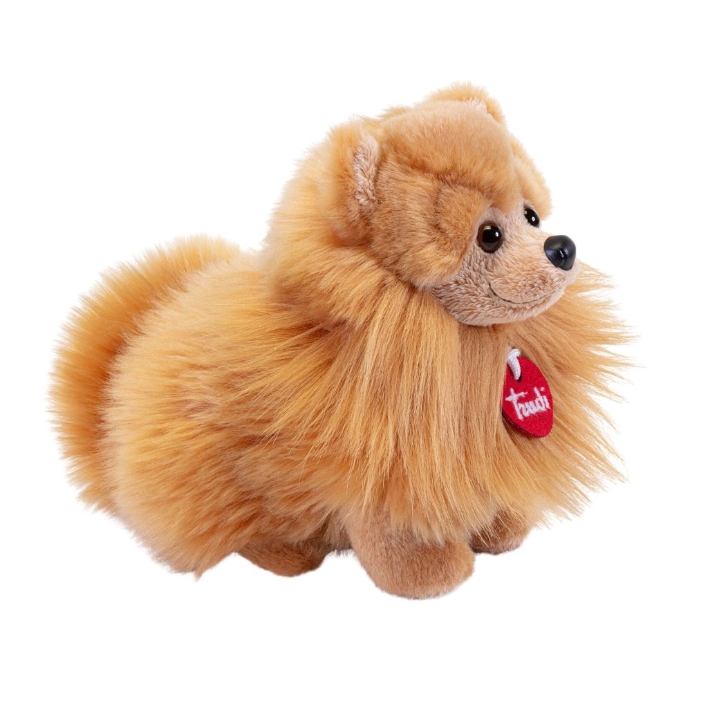 Trudi Pomerian 22347