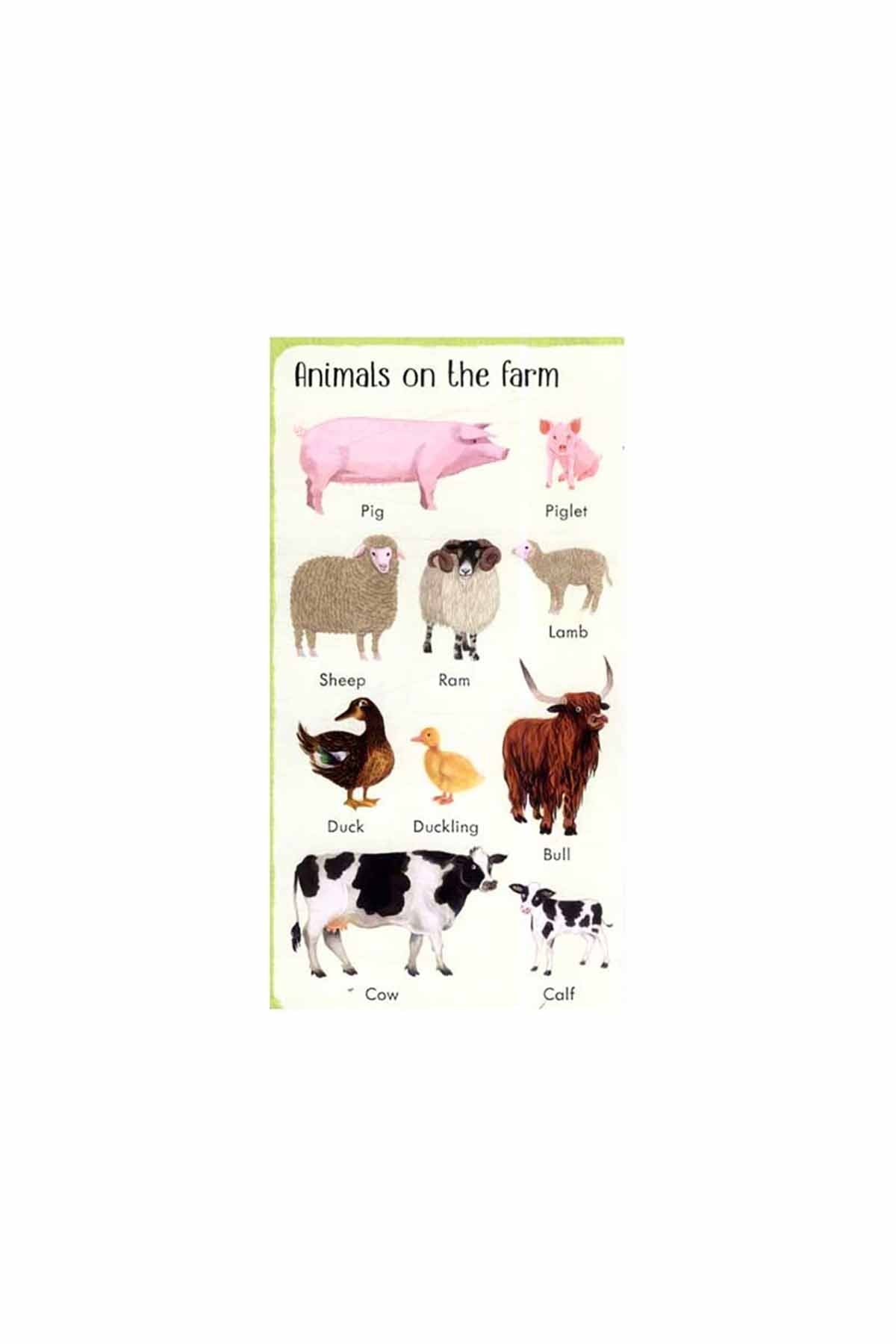 The Usborne 199 Things On The Farm