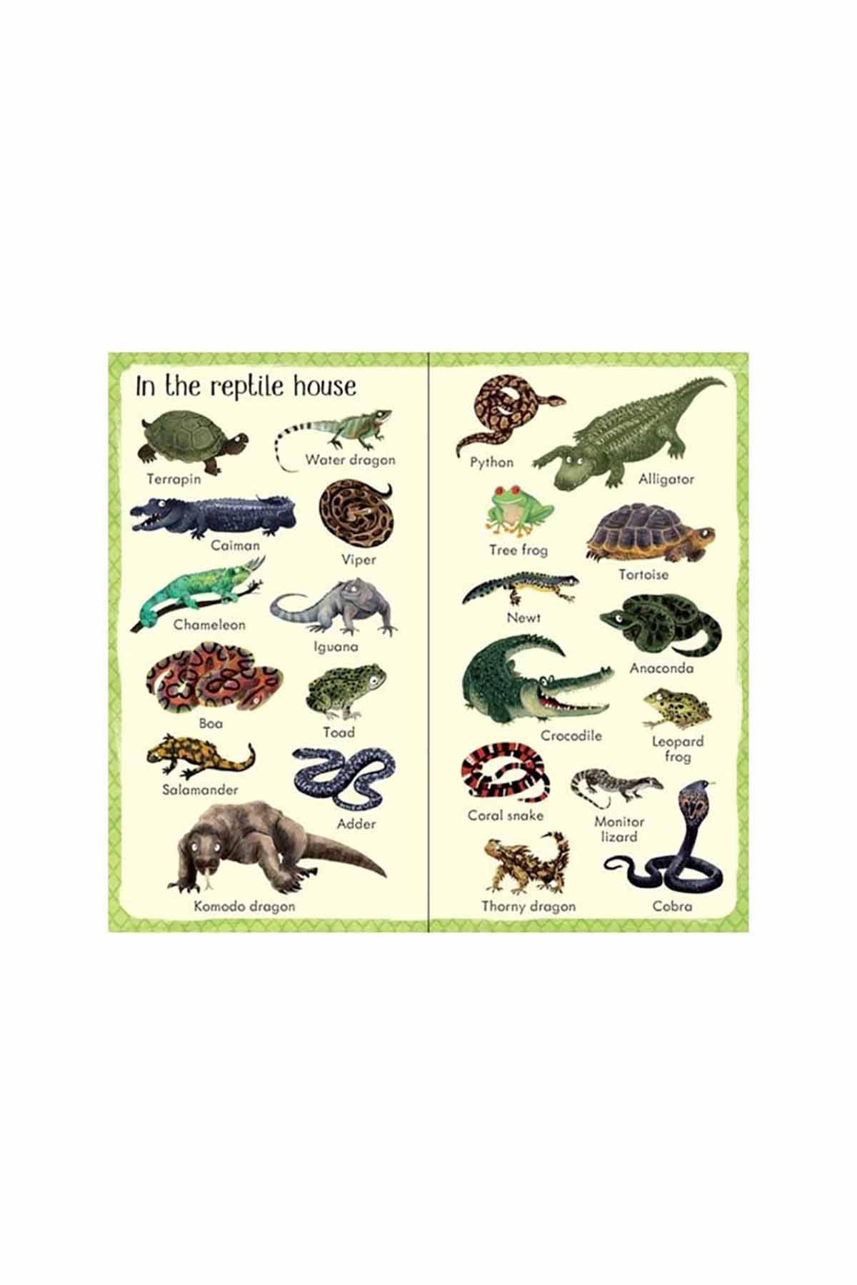 The Usborne  199 Zoo Animals