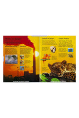The Usborne Encyclopedia Our World