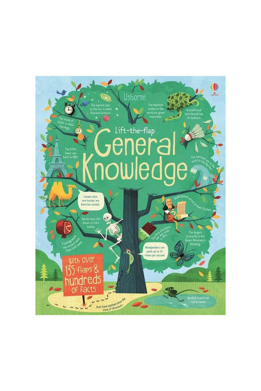 The Usborne Lift The Flap General Knowledge - Welcome Baby