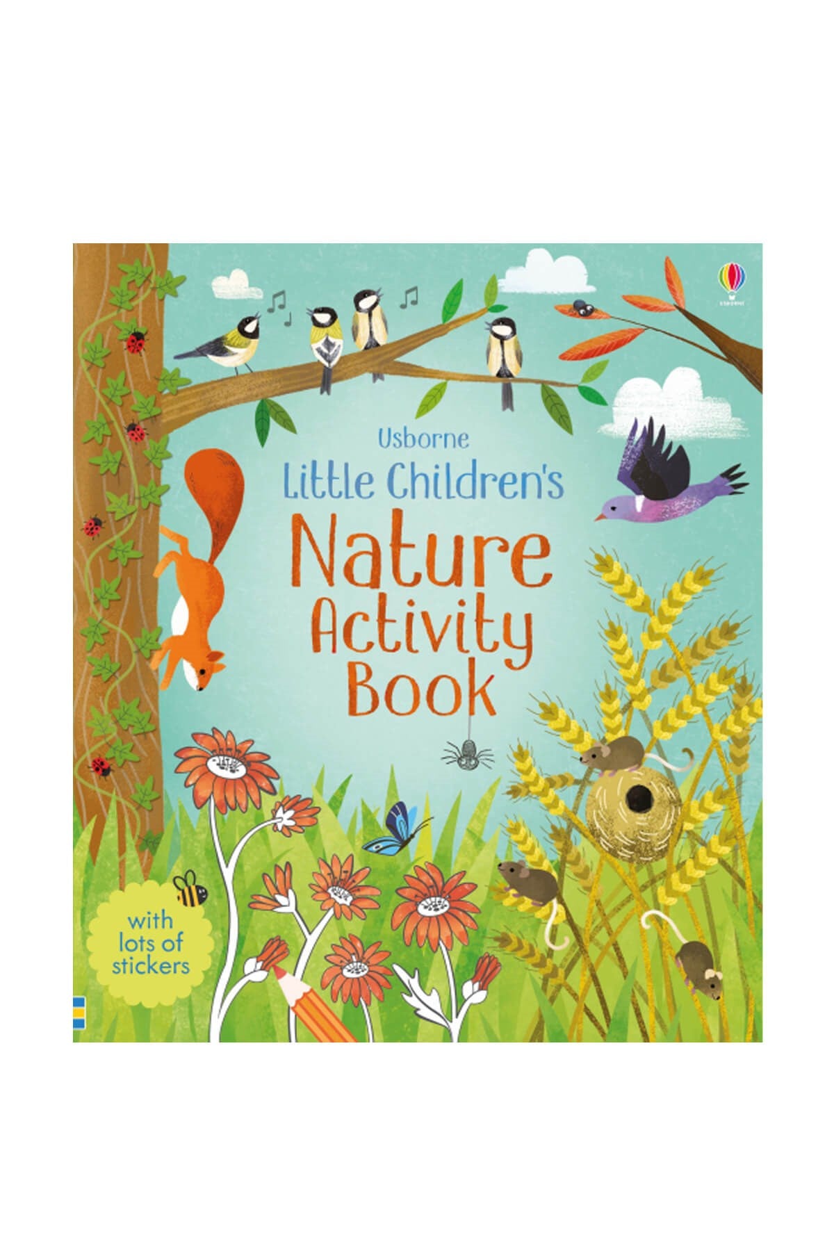 The Usborne  Little Childrens Activity Book Nature