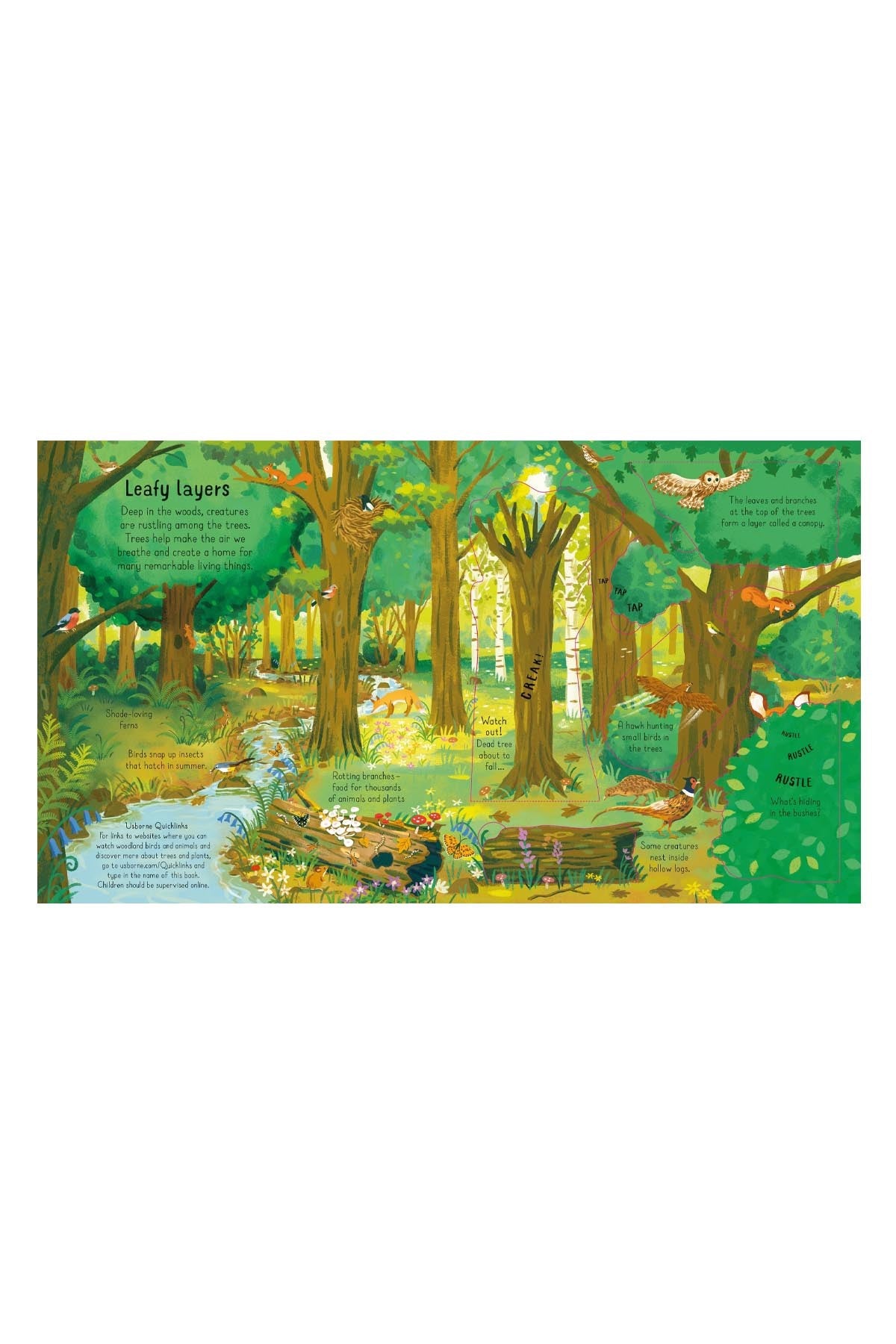 The Usborne Look Insıde The Woods - Welcome Baby