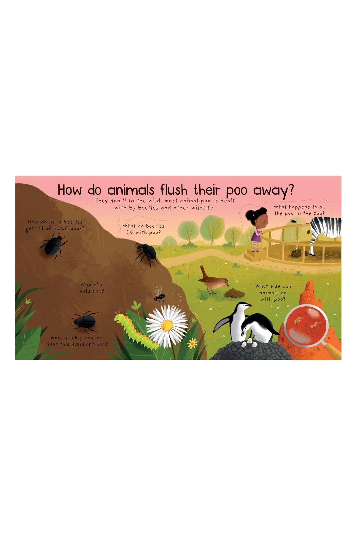 The Usborne Ltf First Q&A Where Does Poo Go? - Welcome Baby