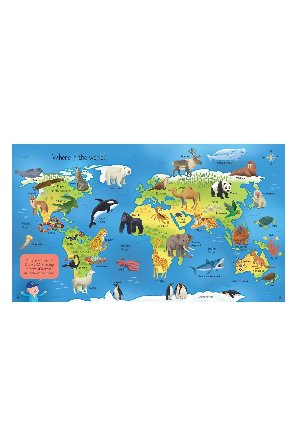 The Usborne My First Encyclopedia - Welcome Baby