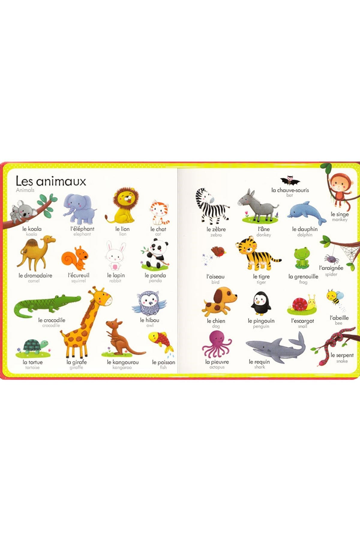 USB - My First French Word Book