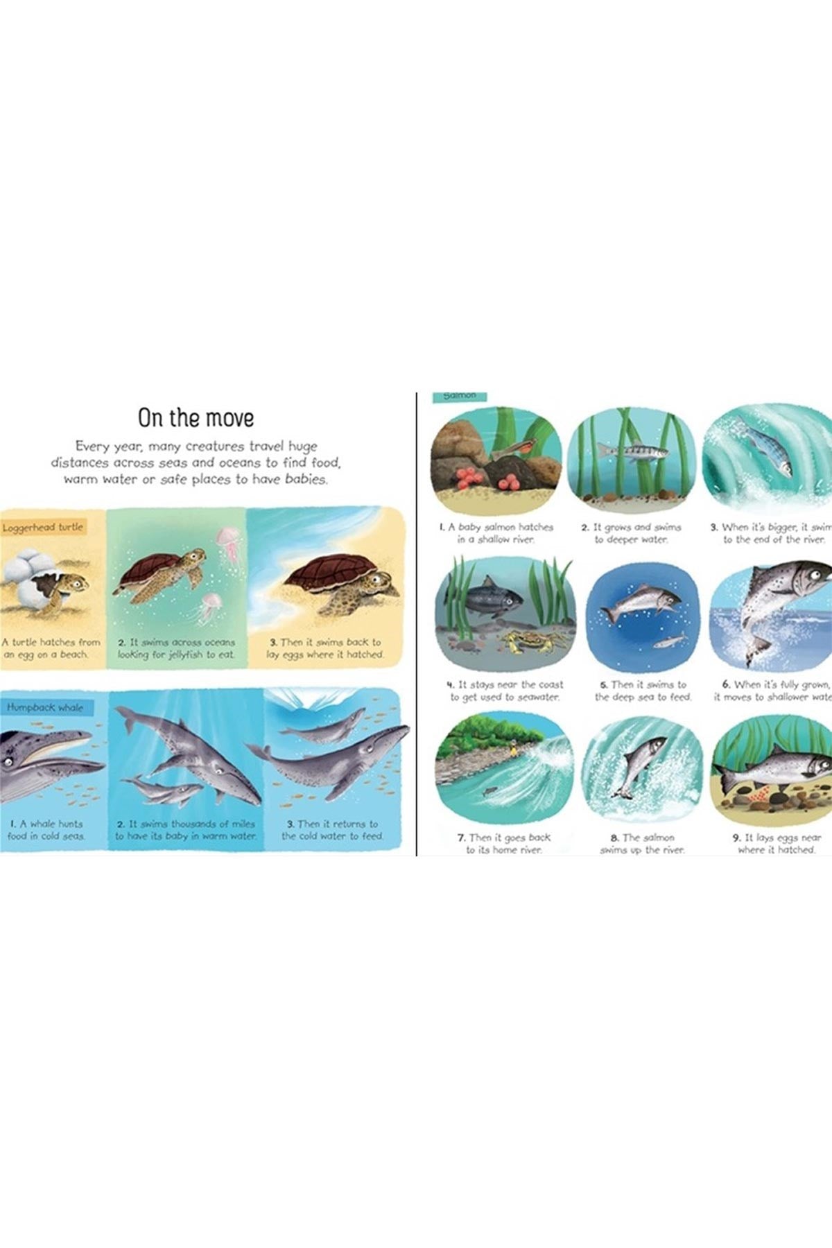 The Usborne My First Seas And Oceans Book - Welcome Baby