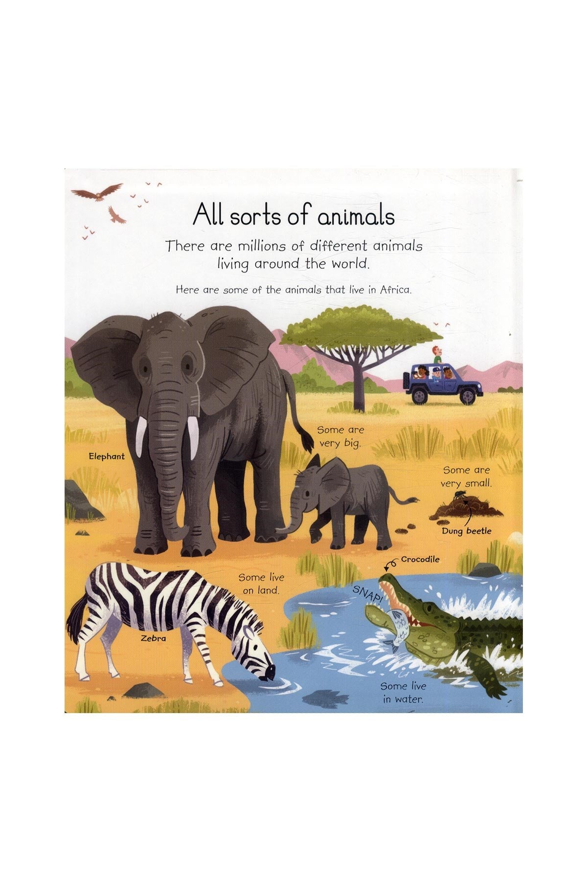 The Usborne My Very First Animals Book - Welcome Baby