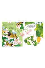 The Usborne Peep Inside A Beehive - Welcome Baby