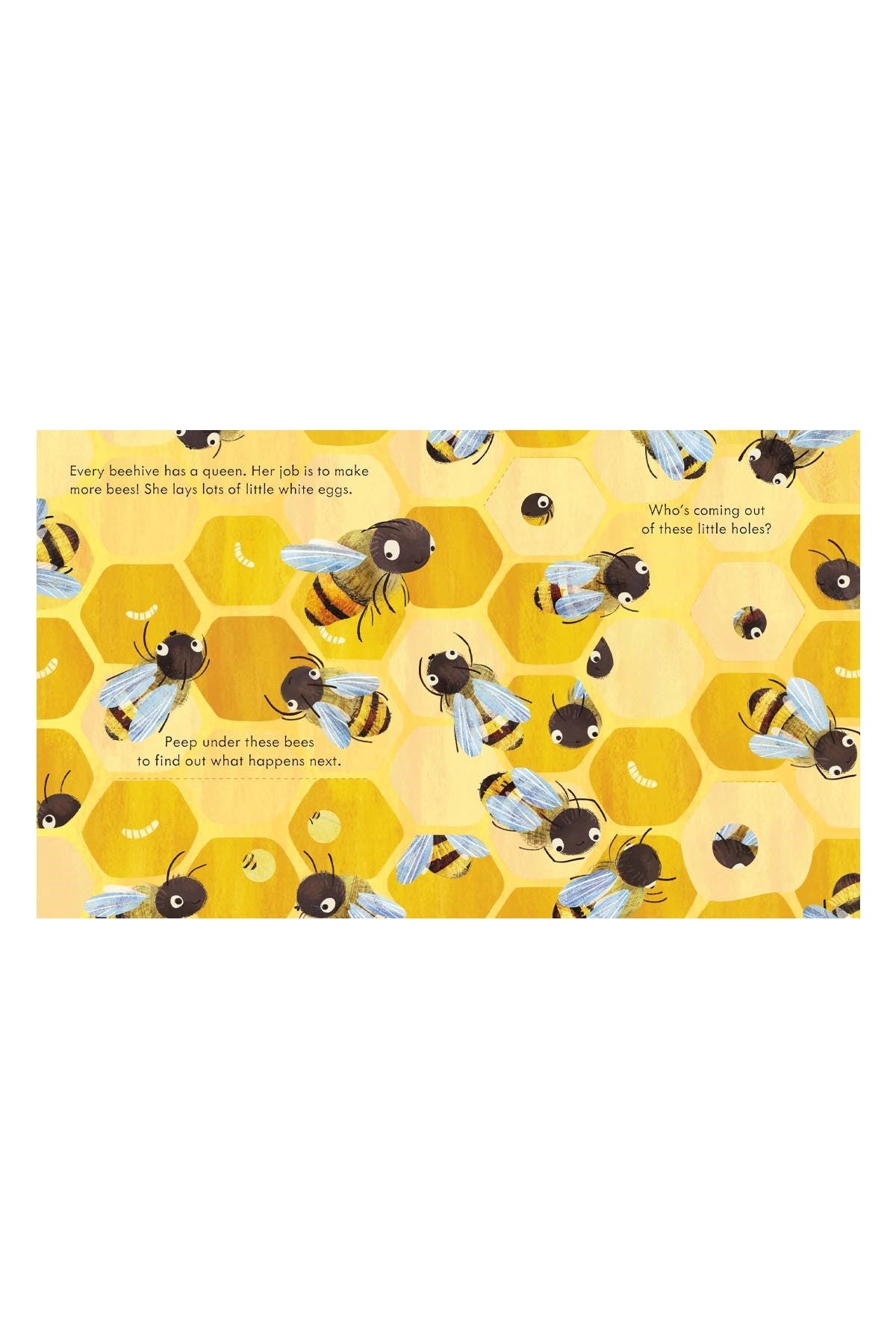 The Usborne Peep Inside A Beehive - Welcome Baby