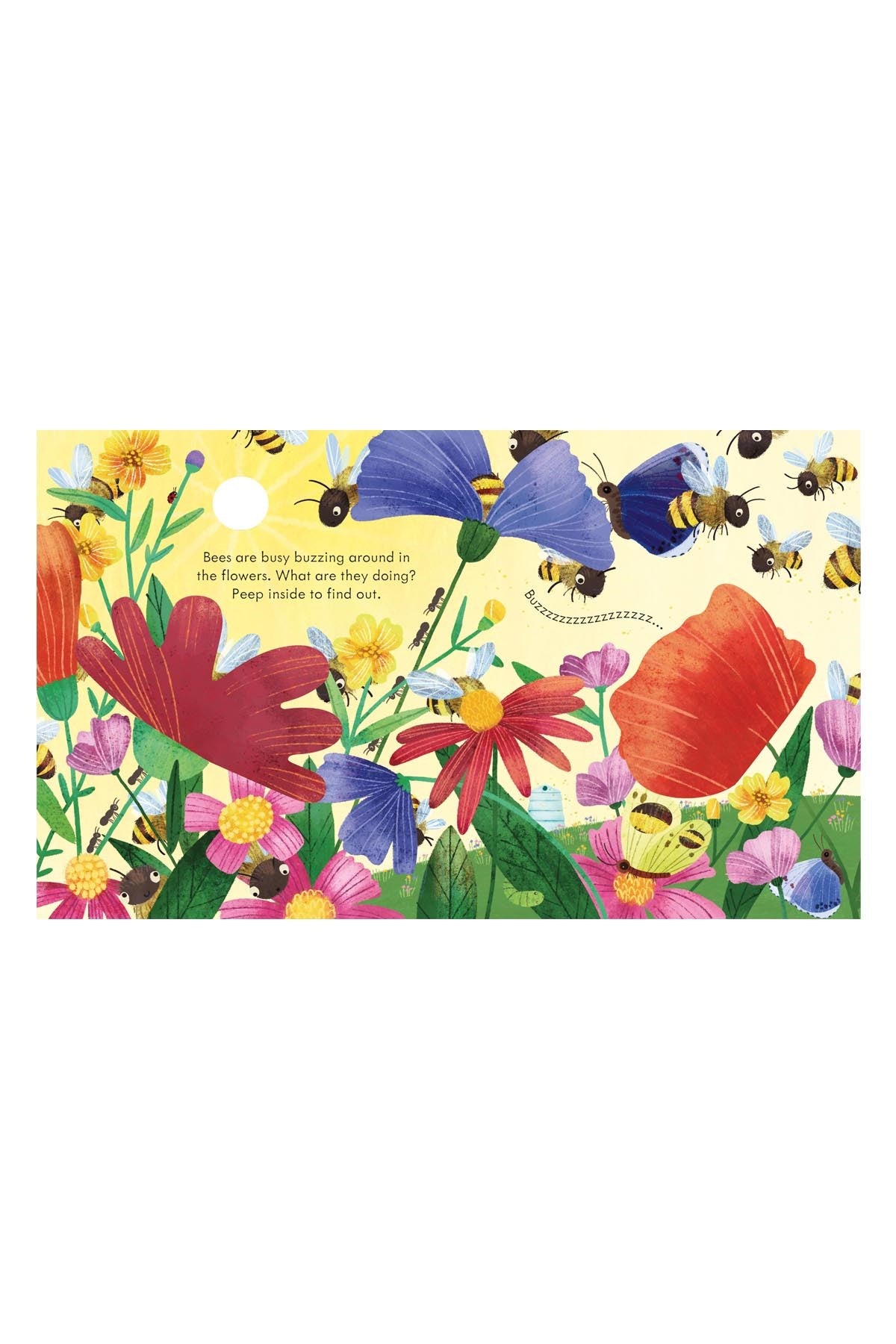 The Usborne Peep Inside A Beehive - Welcome Baby