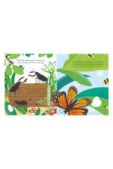 The Usborne Peep Inside Bug Homes