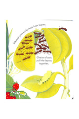 The Usborne Peep Inside Bug Homes