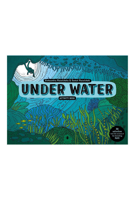 The Usborne  Under Water Activity Book