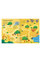 The Usborne  Wipe Clean Animal Activities