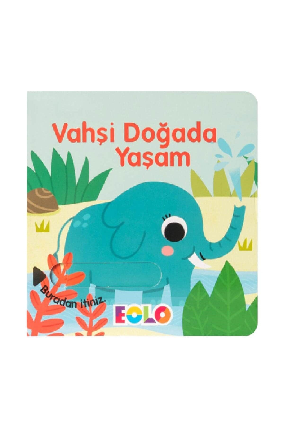 Eolo Vahşi Doğada Yaşam