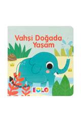 Eolo Vahşi Doğada Yaşam