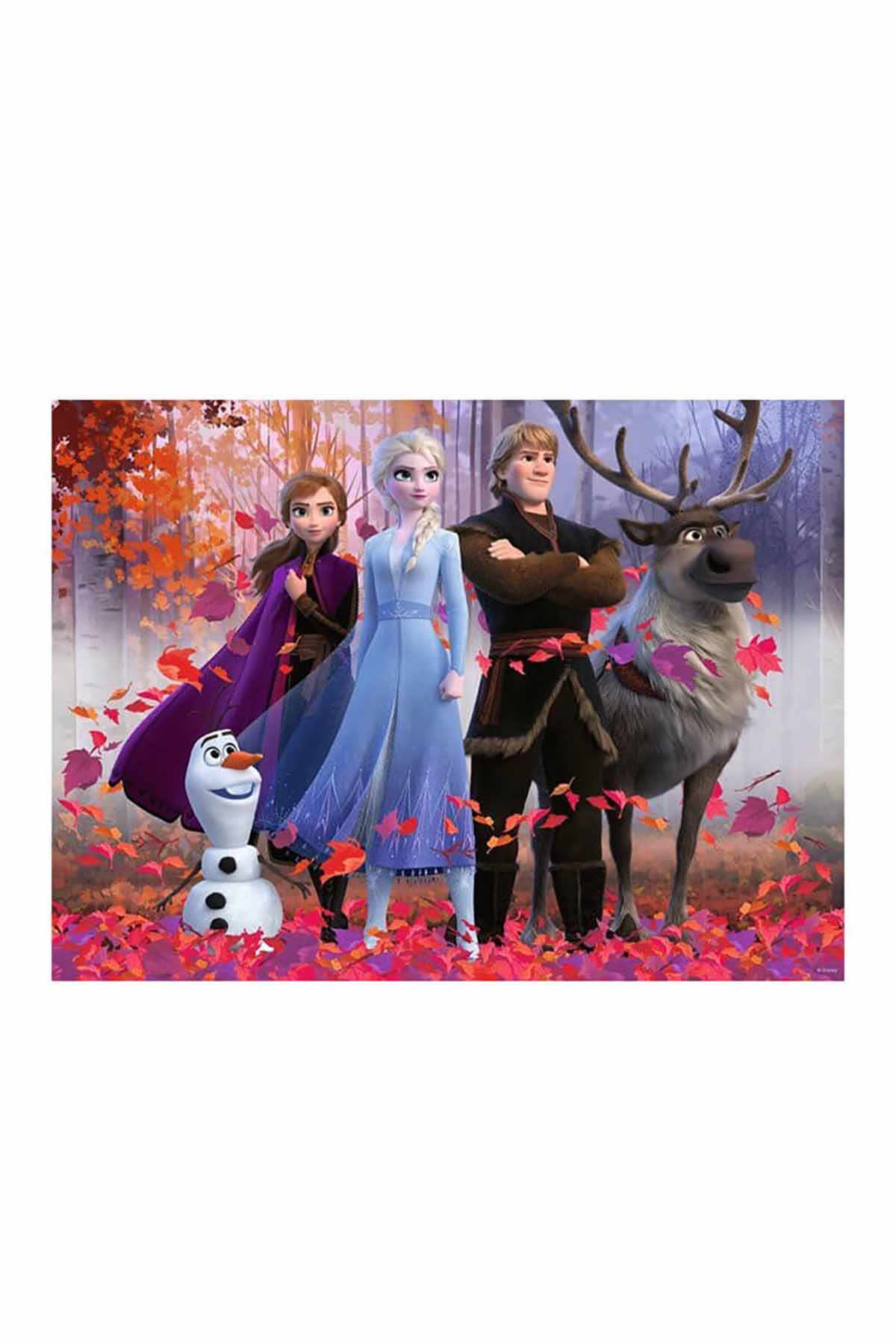 WD FROZEN 2 PUZZLE 100 PRÇ.