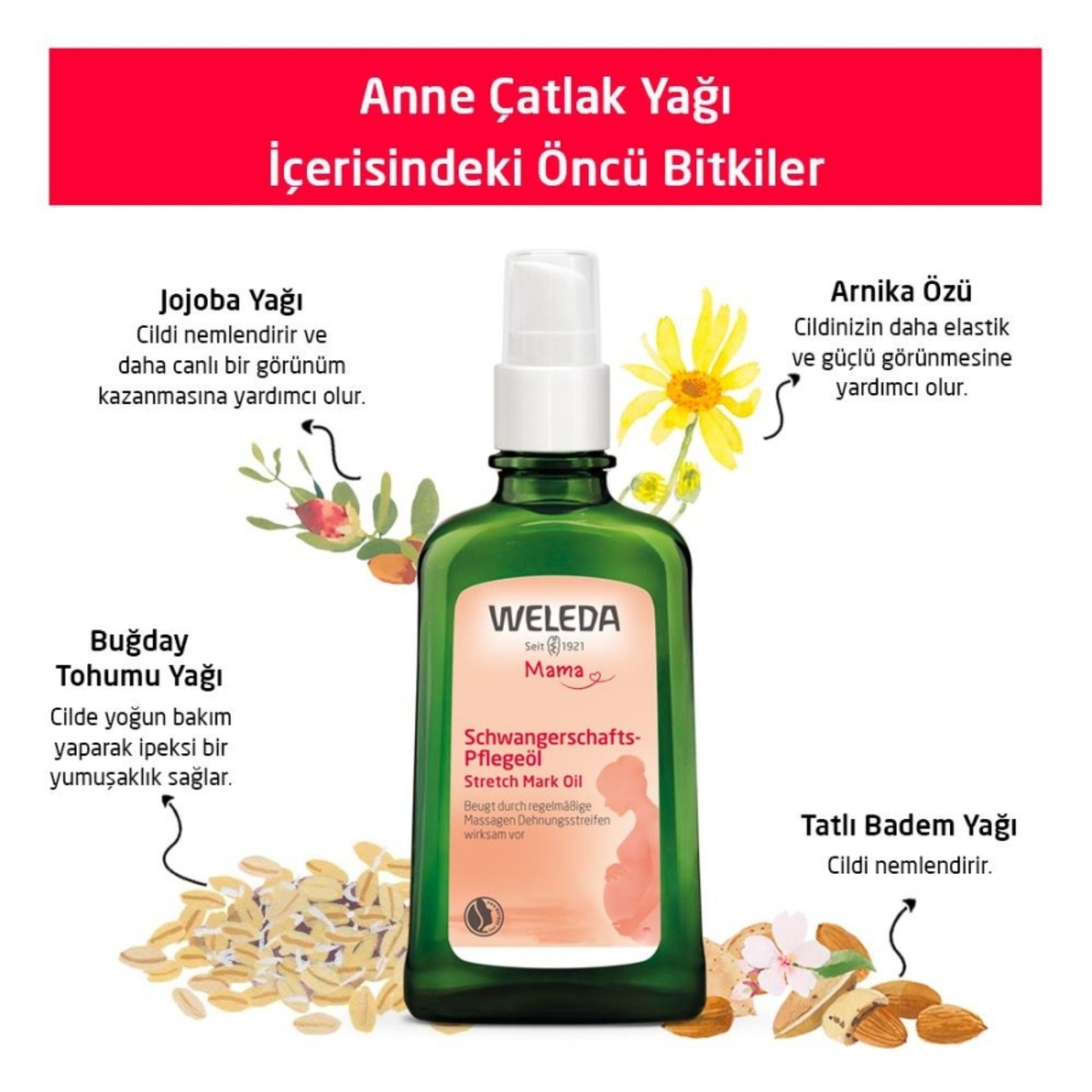 Weleda Anne Çatlak Yağı 100ml